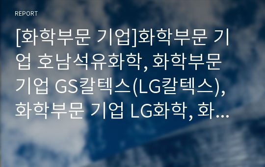 [화학부문 기업]화학부문 기업 호남석유화학, 화학부문 기업 GS칼텍스(LG칼텍스), 화학부문 기업 LG화학, 화학부문 기업 금강고려화학(KCC), 화학부문 기업 SK에버텍 분석