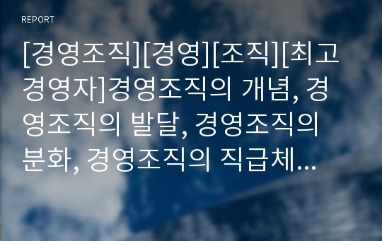 [경영조직][경영][조직][최고경영자]경영조직의 개념, 경영조직의 발달, 경영조직의 분화, 경영조직의 직급체계, 경영조직의 최고경영자(CEO), 향후 경영조직의 내실화 방안 분석