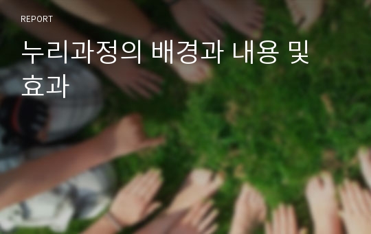 누리과정의 배경과 내용 및 효과