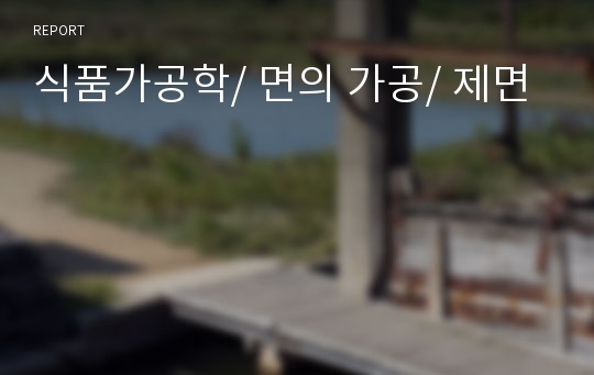 식품가공학/ 면의 가공/ 제면