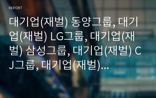 대기업(재벌) 동양그룹, 대기업(재벌) LG그룹, 대기업(재벌) 삼성그룹, 대기업(재벌) CJ그룹, 대기업(재벌) 쌍용그룹, 대기업(재벌) SK그룹, 대기업(재벌) 금호그룹 분석