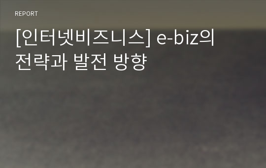 [인터넷비즈니스] e-biz의  전략과 발전 방향