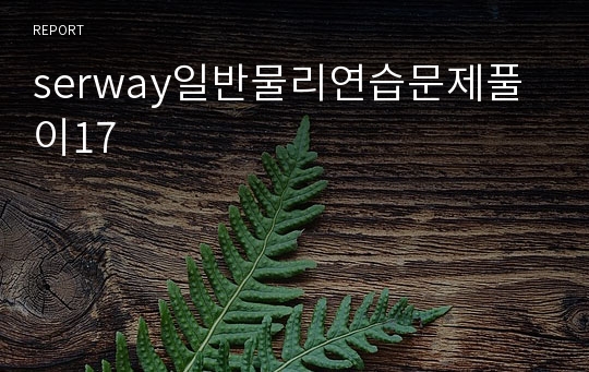 serway일반물리연습문제풀이17