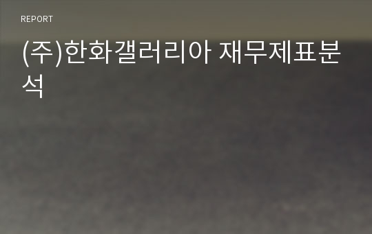 (주)한화갤러리아 재무제표분석