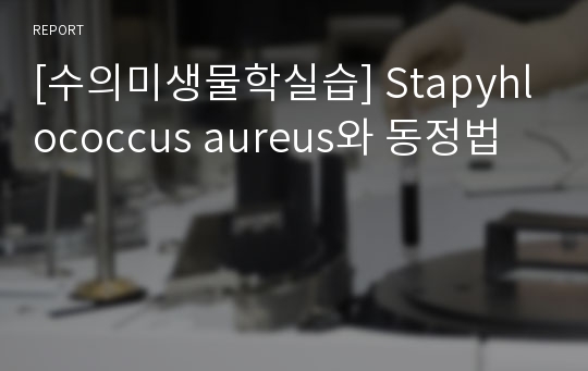 [수의미생물학실습] Stapyhlococcus aureus와 동정법