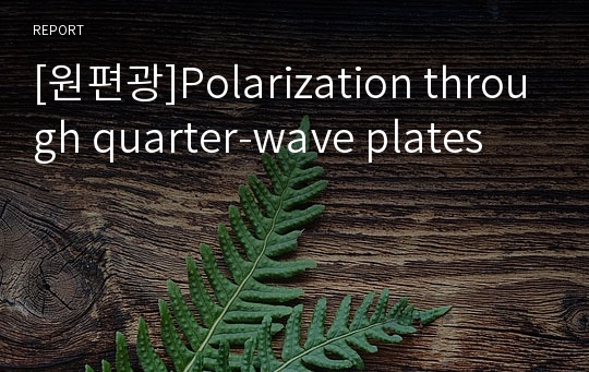 [원편광]Polarization through quarter-wave plates