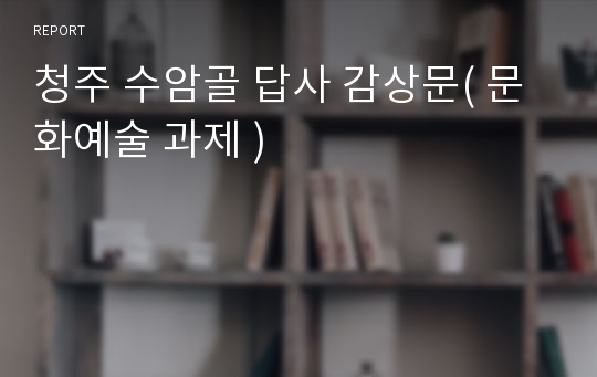 청주 수암골 답사 감상문( 문화예술 과제 )