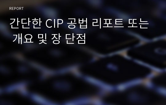 간단한 CIP 공법 리포트 또는 개요 및 장 단점