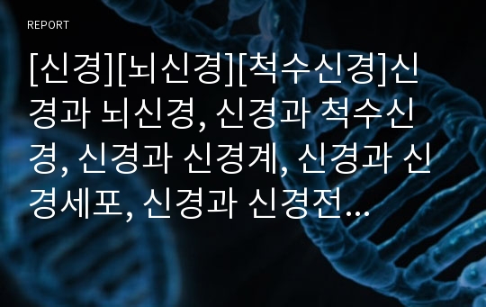 [신경][뇌신경][척수신경]신경과 뇌신경, 신경과 척수신경, 신경과 신경계, 신경과 신경세포, 신경과 신경전달물질, 신경과 신경전도검사, 신경과 신경행동평가도구(MDS) 분석