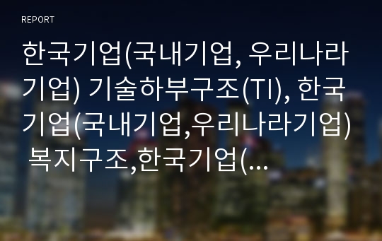 한국기업(국내기업, 우리나라기업) 기술하부구조(TI), 한국기업(국내기업,우리나라기업) 복지구조,한국기업(국내기업,우리나라기업) 지배구조,한국기업(국내기업,우리나라기업) 자본구조