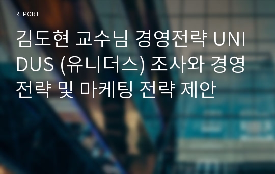 김도현 교수님 경영전략 UNIDUS (유니더스) 조사와 경영전략 및 마케팅 전략 제안