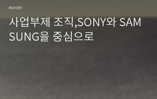 사업부제 조직,SONY와 SAMSUNG을 중심으로