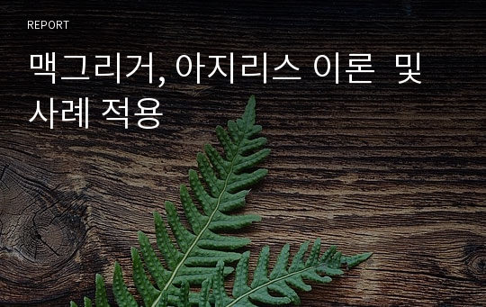 맥그리거, 아지리스 이론  및 사례 적용