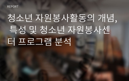 청소년 자원봉사활동의 개념, 특성 및 청소년 자원봉사센터 프로그램 분석