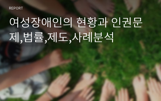 여성장애인의 현황과 인권문제,법률,제도,사례분석