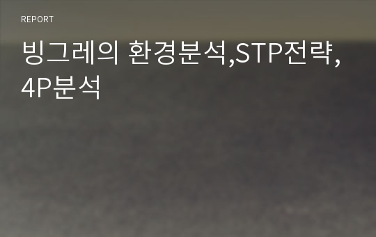 빙그레의 환경분석,STP전략,4P분석