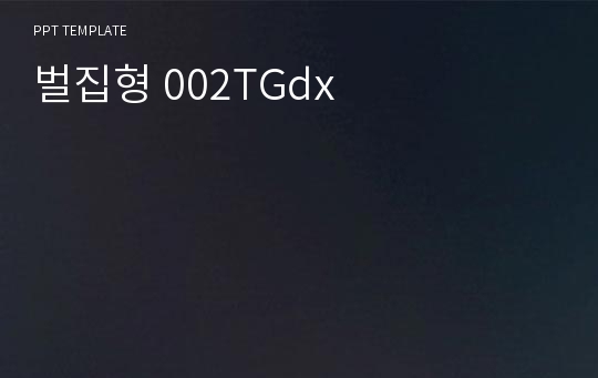 벌집형 002TGdx