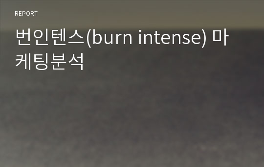 번인텐스(burn intense) 마케팅분석