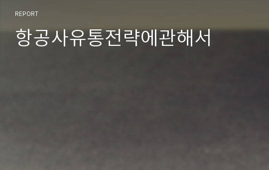 항공사유통전략에관해서