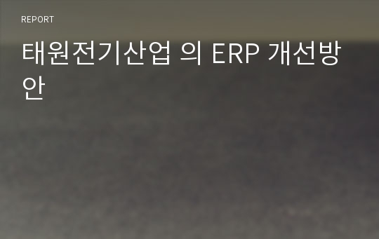 태원전기산업 의 ERP 개선방안