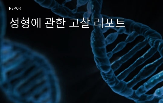 성형에 관한 고찰 리포트