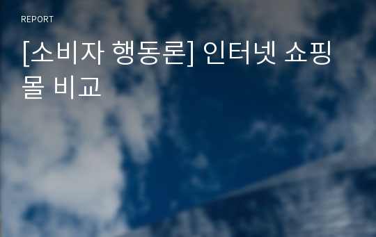 [소비자 행동론] 인터넷 쇼핑몰 비교