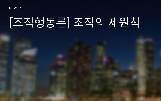 [조직행동론] 조직의 제원칙