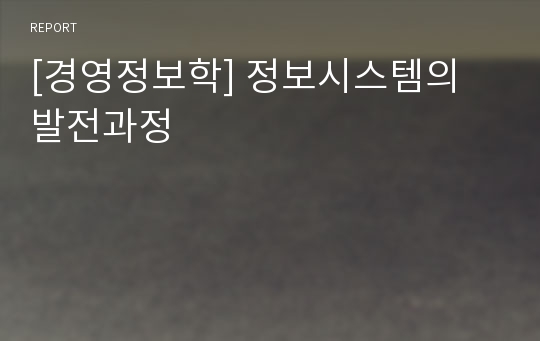 [경영정보학] 정보시스템의 발전과정