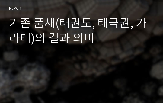 기존 품새(태권도, 태극권, 가라테)의 길과 의미