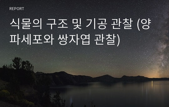 식물의 구조 및 기공 관찰 (양파세포와 쌍자엽 관찰)