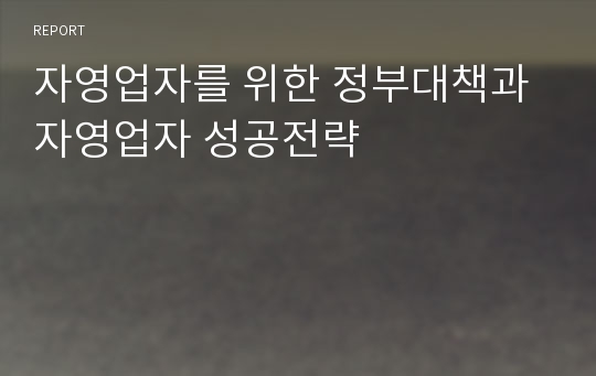 자영업자를 위한 정부대책과 자영업자 성공전략