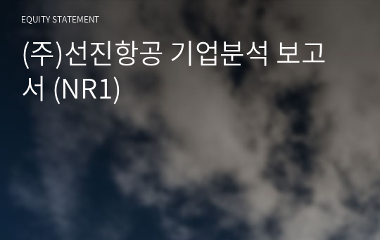 (주)선진항공 기업분석 보고서 (NR1)