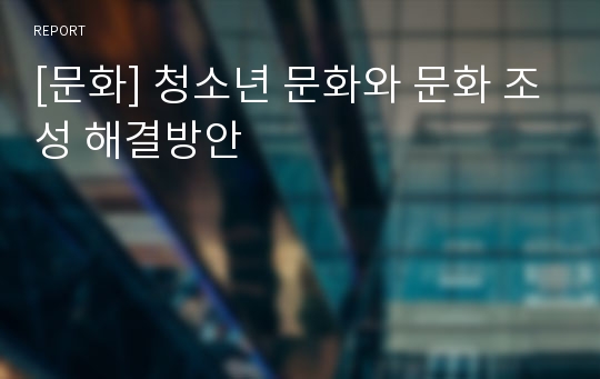 [문화] 청소년 문화와 문화 조성 해결방안