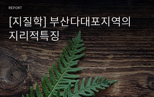 [지질학] 부산다대포지역의 지리적특징