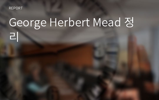 George Herbert Mead 정리