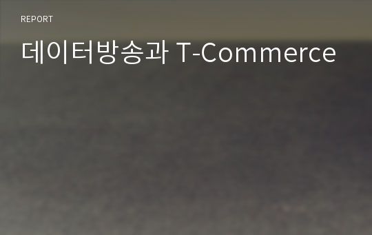 데이터방송과 T-Commerce