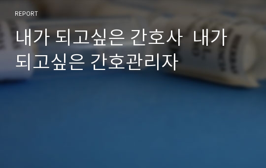 내가 되고싶은 간호사  내가 되고싶은 간호관리자