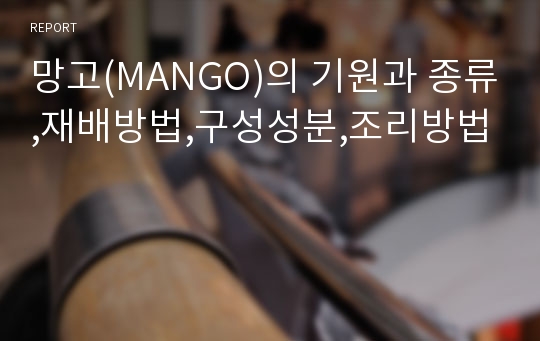 망고(MANGO)의 기원과 종류,재배방법,구성성분,조리방법