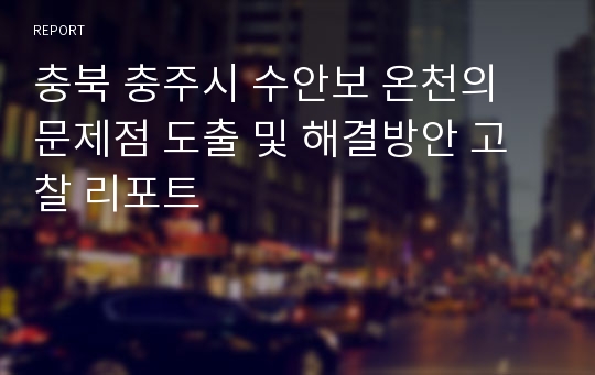 충북 충주시 수안보 온천의 문제점 도출 및 해결방안 고찰 리포트