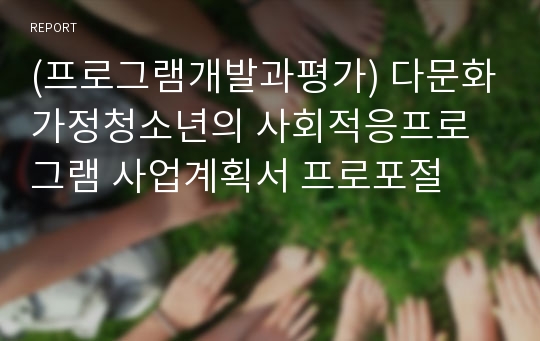 (프로그램개발과평가) 다문화가정청소년의 사회적응프로그램 사업계획서 프로포절