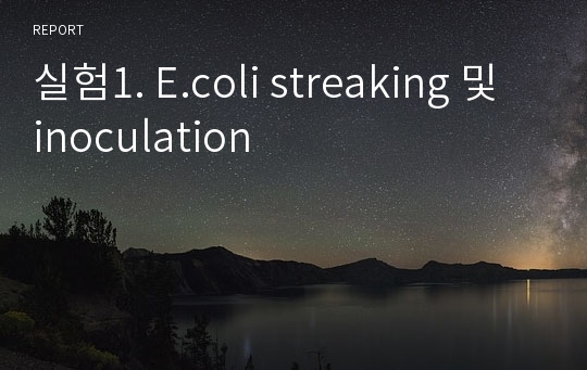 실험1. E.coli streaking 및 inoculation