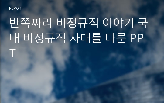 반쪽짜리 비정규직 이야기 국내 비정규직 사태를 다룬 PPT