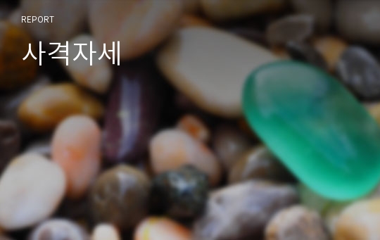 사격자세