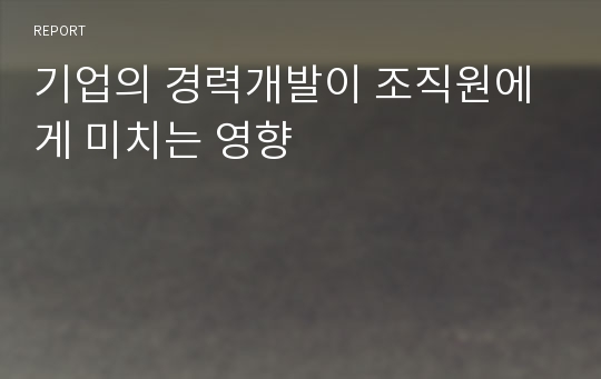 기업의 경력개발이 조직원에게 미치는 영향