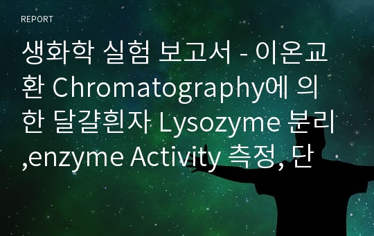 생화학 실험 보고서 - 이온교환 Chromatography에 의한 달걀흰자 Lysozyme 분리,enzyme Activity 측정, 단백질 정량