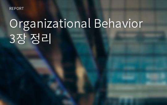 Organizational Behavior 3장 정리