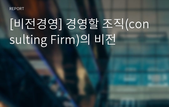 [비전경영] 경영할 조직(consulting Firm)의 비전