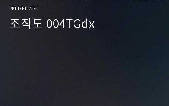 조직도 004TGdx