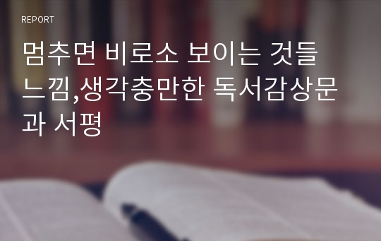 멈추면 비로소 보이는 것들 느낌,생각충만한 독서감상문과 서평