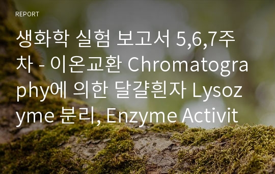 생화학 실험 보고서 5,6,7주차 - 이온교환 Chromatography에 의한 달걀흰자 Lysozyme 분리, Enzyme Activity 측정, 단백질 정량